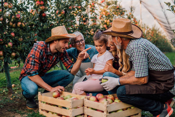 istock Joyful family with a child at apple orchard 1058794120