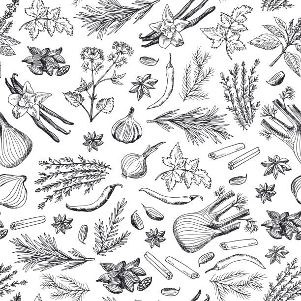 ilustrações de stock, clip art, desenhos animados e ícones de vector hand drawn herbs and spices background or pattern illustration - herb