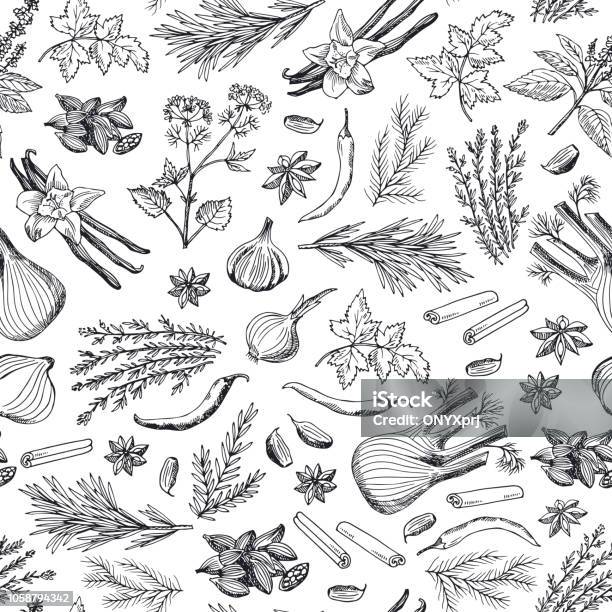 Vector Hand Drawn Herbs And Spices Background Or Pattern Illustration Stock Illustration - Download Image Now
