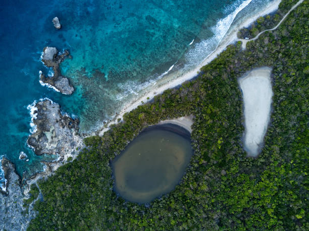 istock Aerial view of Guadeloupe 1058797574