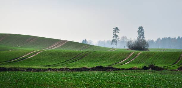 istock Dark dramatic rain clouds over countryside landscape. Autumn in Latvia. 1058797698