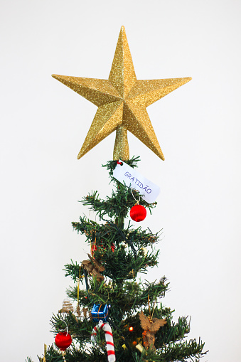 christmas tree and star with a paper written gratitude in portuguese language