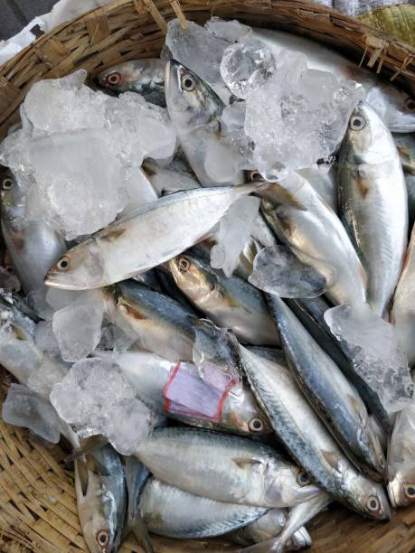 istock Seafood background food 1058800102