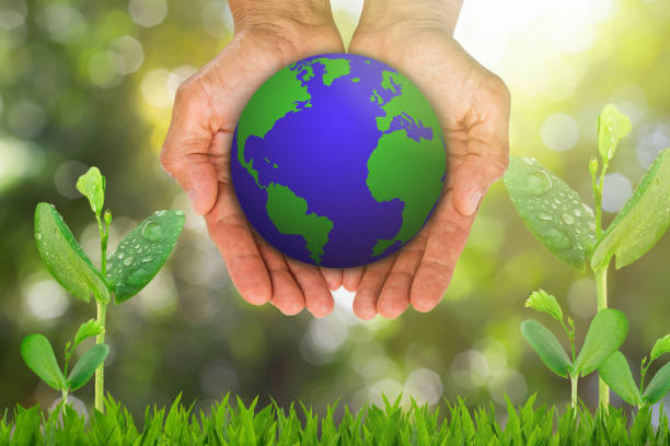 istock Hands holding globe on blurred green bokeh background with growing sprouts and green grass, environment concept 1058800684
