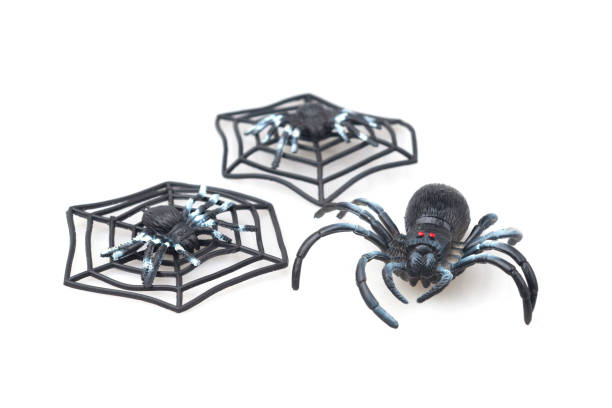 istock Spider fakes for use in Halloween. 1058803314