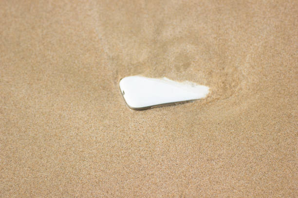 Hand holding shell