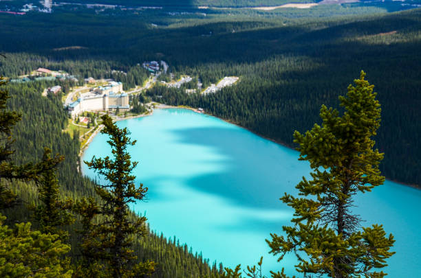 com vista para o lago louise de grande colmeia no outono, o parque nacional de banff, canadian rockies, alberta, canadá - lake louise national park landscape forest - fotografias e filmes do acervo