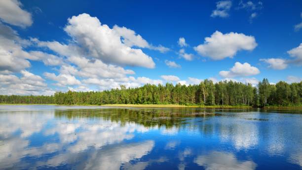 istock A lake in Estonia in beautiful summer day 1058812280