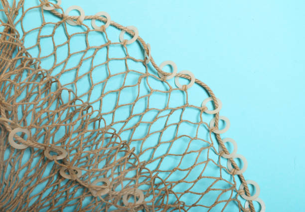 istock Fishing net with space for your text. Blue background for a fishery theme. 1058818218