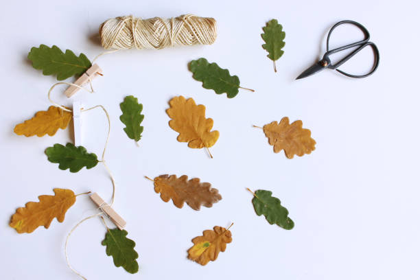 istock Autumn background. Creative flat layout of colorful autumn leaves. Fall decorative concept, flat lay. 1058818234
