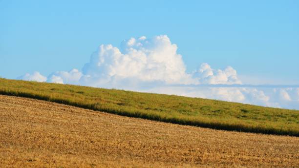 istock Field in the countryside area 1058818574