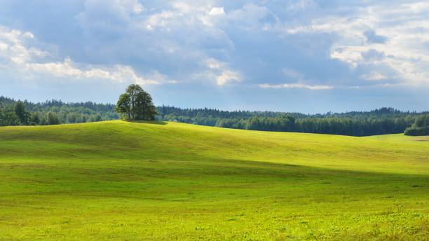 istock Field in the countryside area 1058818612