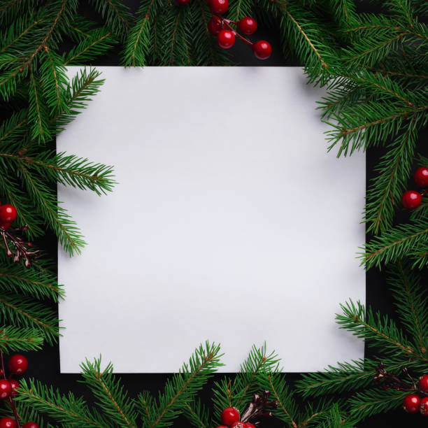 Fir tree branches with red christmas balls frame Blank white paper with frame of green fir branches and red berries, copy space pinaceae photos stock pictures, royalty-free photos & images