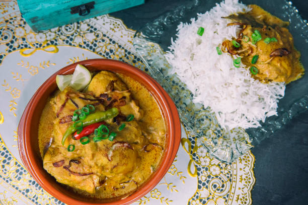 Dum Murg curry - foto de acervo