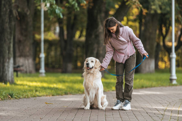 istock young woman holding leash while walking with dog in park 1058823814
