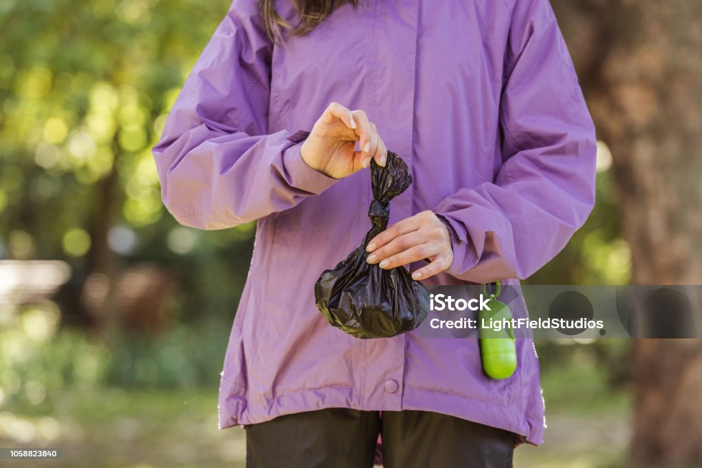 cropped shot of young woman holding trash bag while cleaning after pet in park Dog Stock Photo