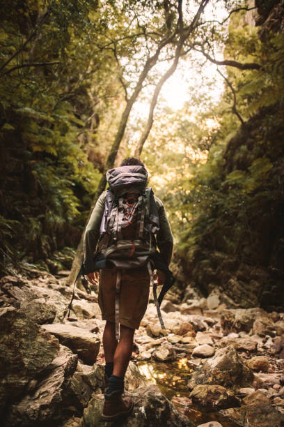 Man hiking through rough and rocky mountain trail Rear view of young man with backpack walking over a rocky trail through forest. Male hiking through rough and rocky mountain trail. beauty in nature vertical africa southern africa stock pictures, royalty-free photos & images