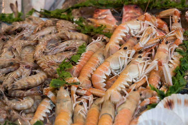 Fresh Scampi offered at the fish market