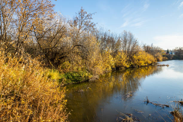 istock Morning on the calm river 1058825100