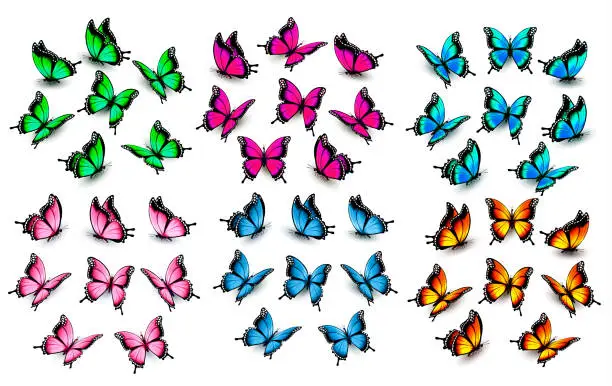 Vector illustration of Colorful butterflies set. Vector.