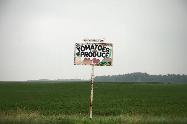 istock Fresh Produce Sign 1058826756