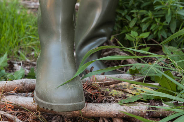 istock With rubber boots in the woods. 1058826894
