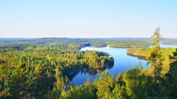 istock Landscape of Saimaa lake from above, Finland 1058829190