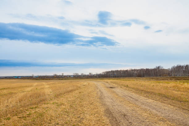 istock Beautiful golden field and dark stormy sky 1058829604