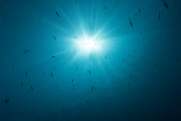 istock Sun light breaking through the water into the depth 1058835084