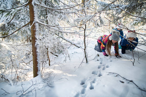 Kids tracking animal prints in winter forest