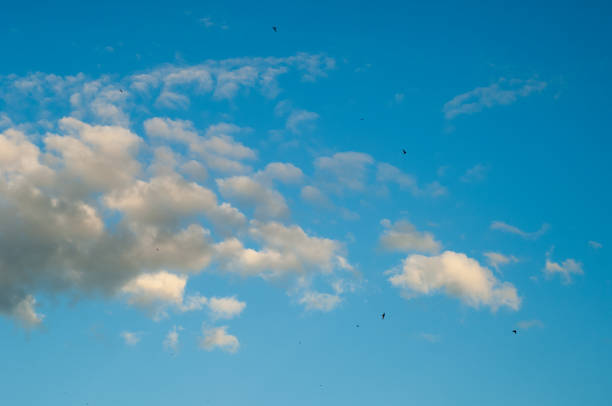 istock Texture, background, pattern. Cumulonimbus clouds. cumulonimbus stormy cloud with blue sky. Giant cumulonimbus thunder cloud building in the sky 1058840534
