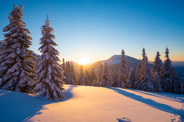 istock Magic sunrise in the winter mountains after snowfall 1058842502