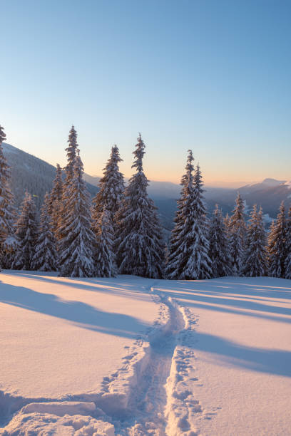 istock Magic sunrise in the winter mountains after snowfall 1058842530