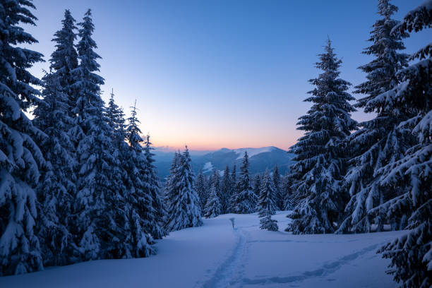 istock Magic sunrise in the winter mountains after snowfall 1058842540
