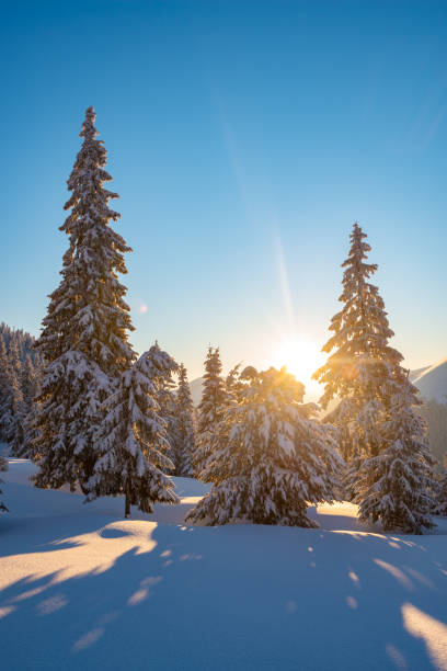 istock Magic sunrise in the winter mountains after snowfall 1058842546