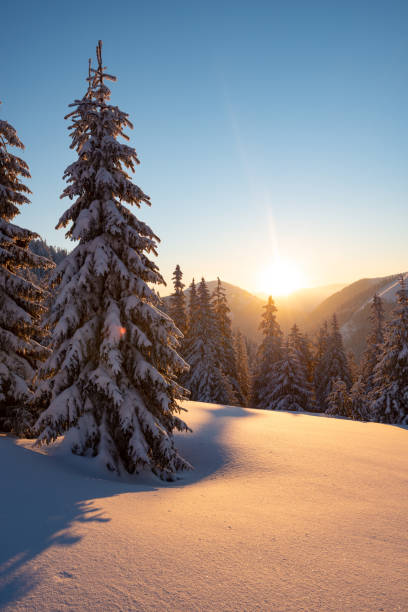 istock Magic sunrise in the winter mountains after snowfall 1058842558