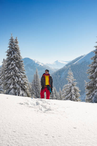 istock Adventurer stands among huge pine trees 1058842670