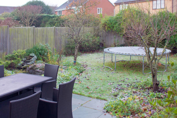 istock A domestic garden in Winter 1058845262