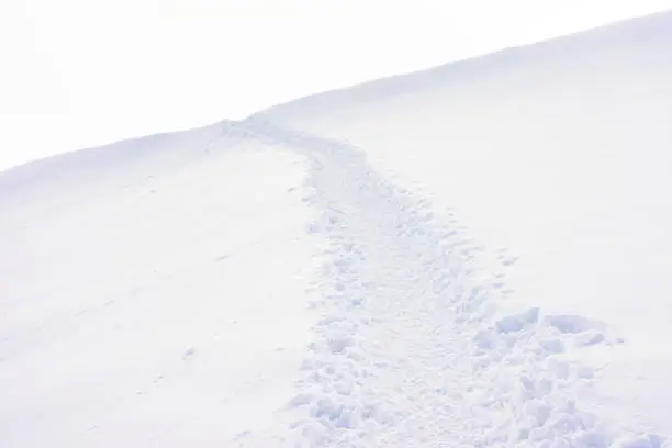 Photo of Footpath in deep snow through sparse landscape