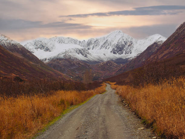 This gravel road leads to the trailhead for resurrection pass through the Kenai mountains.