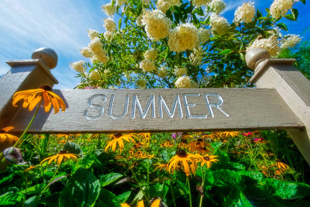Summer Sign with Flowers at Low angle