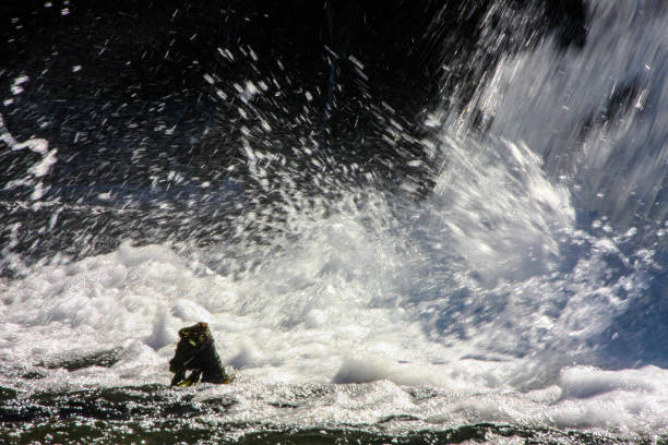 Close Up Of Mountain Stream In The Morning