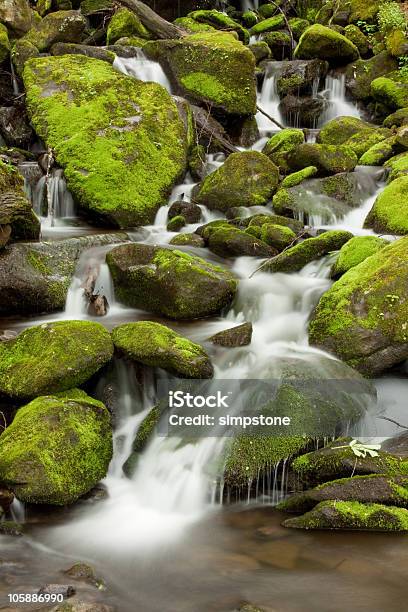 Omszałej Rocks Strażnika Mały Wodospad - zdjęcia stockowe i więcej obrazów Appalachy - Appalachy, Bez ludzi, Długie naświetlanie