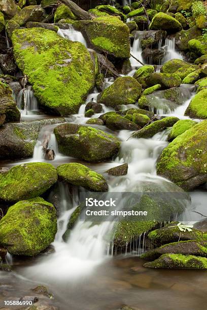 Eram Pedras Guarda Uma Pequena Cascata - Fotografias de stock e mais imagens de Ao Ar Livre - Ao Ar Livre, Appalachia, Cascata