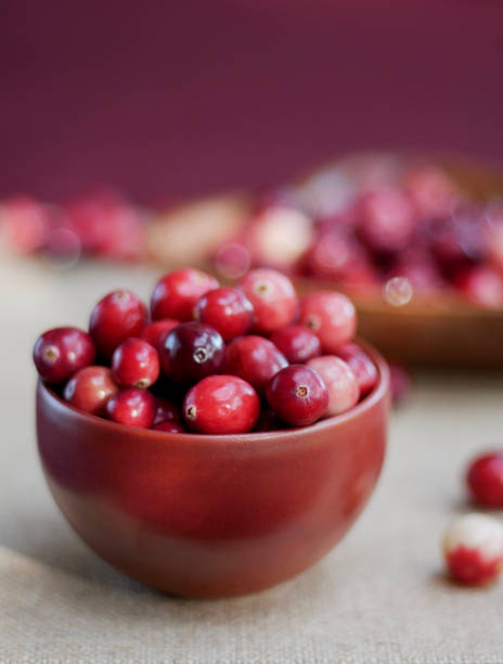 istock Fresh New England Cranberries 1058872062