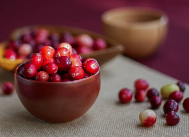 istock Fresh New England Cranberries 1058872082