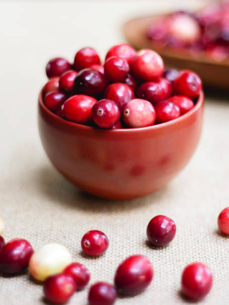 istock Fresh New England Cranberries 1058872098