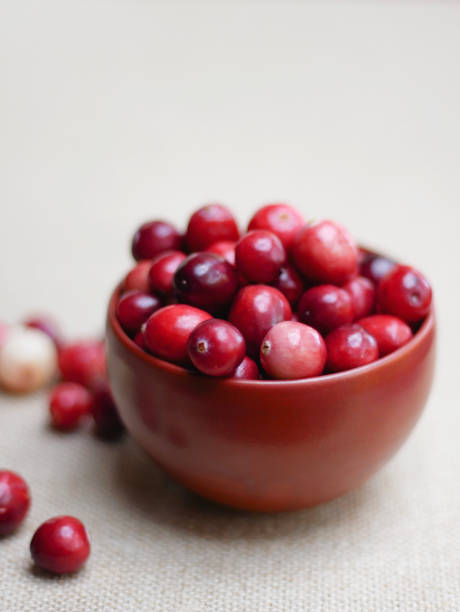 istock Fresh New England Cranberries 1058872110