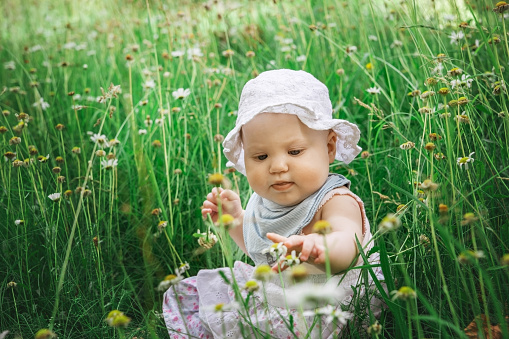 Baby girl sitting in the green grass.