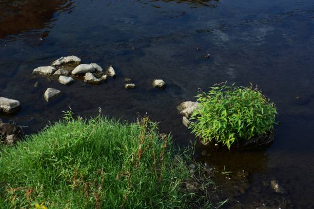 istock A view of autumn stream 1058880906